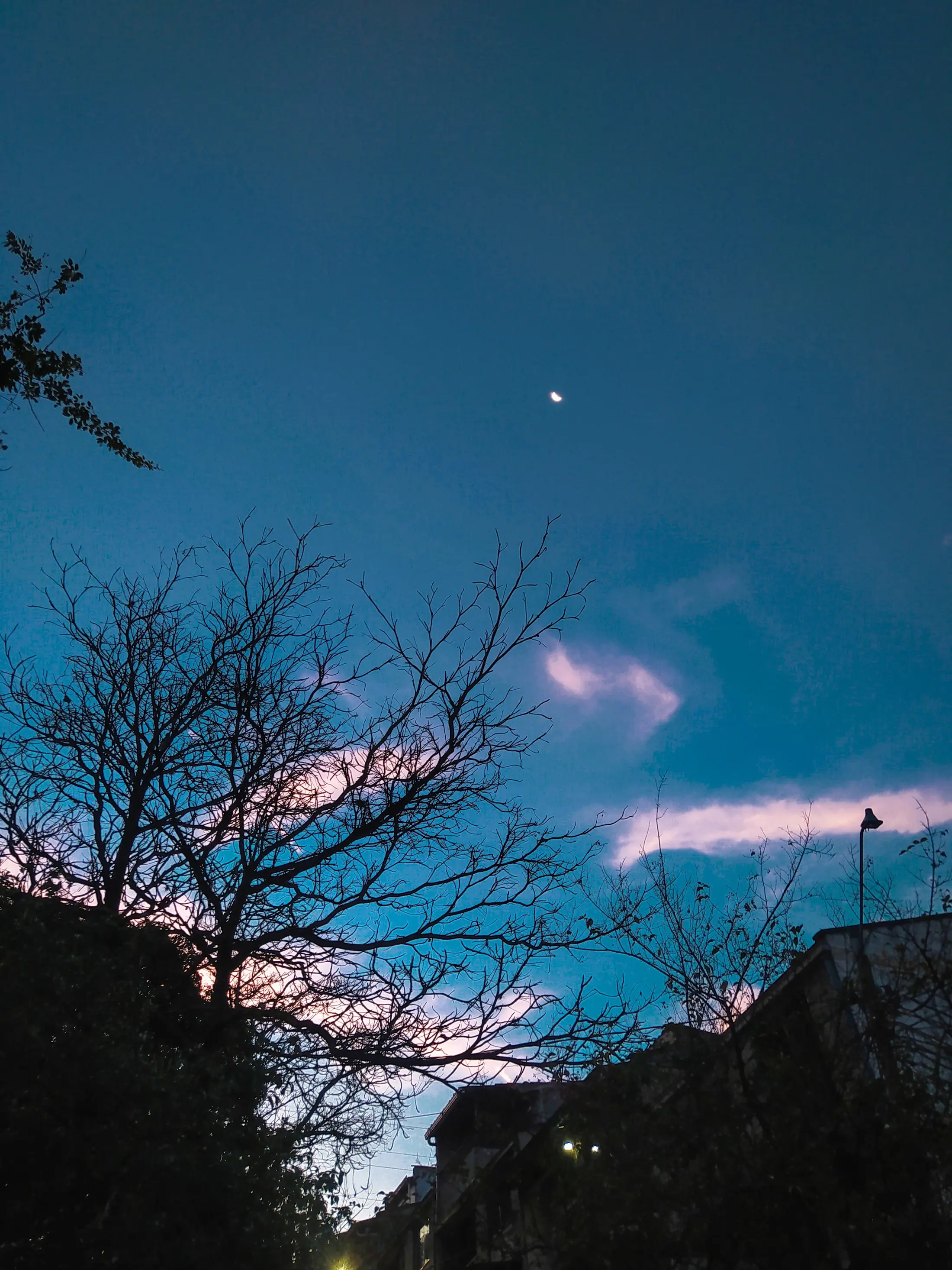 Captura de ambiente y paisaje - Foto 7